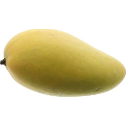 BIO MANGUE SAUVAGE ATAULFO 26PCS